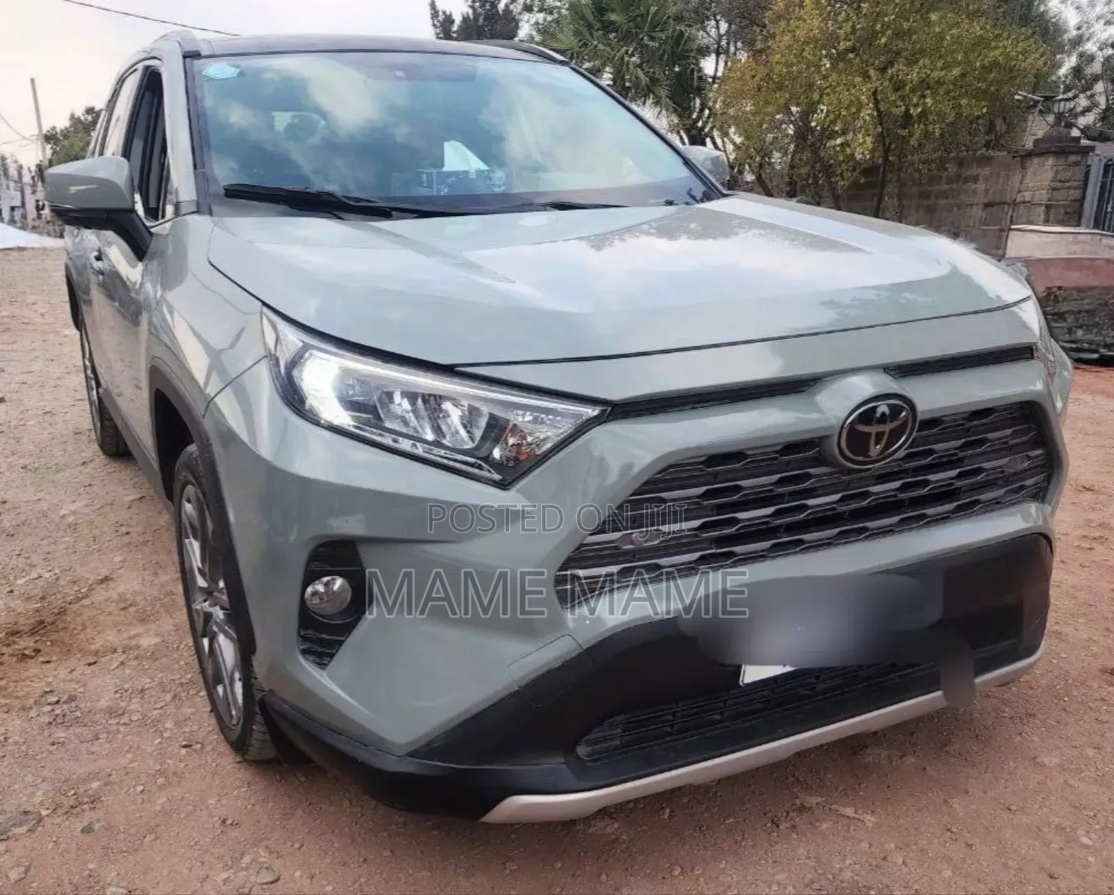 Toyota RAV4 2019 Gray