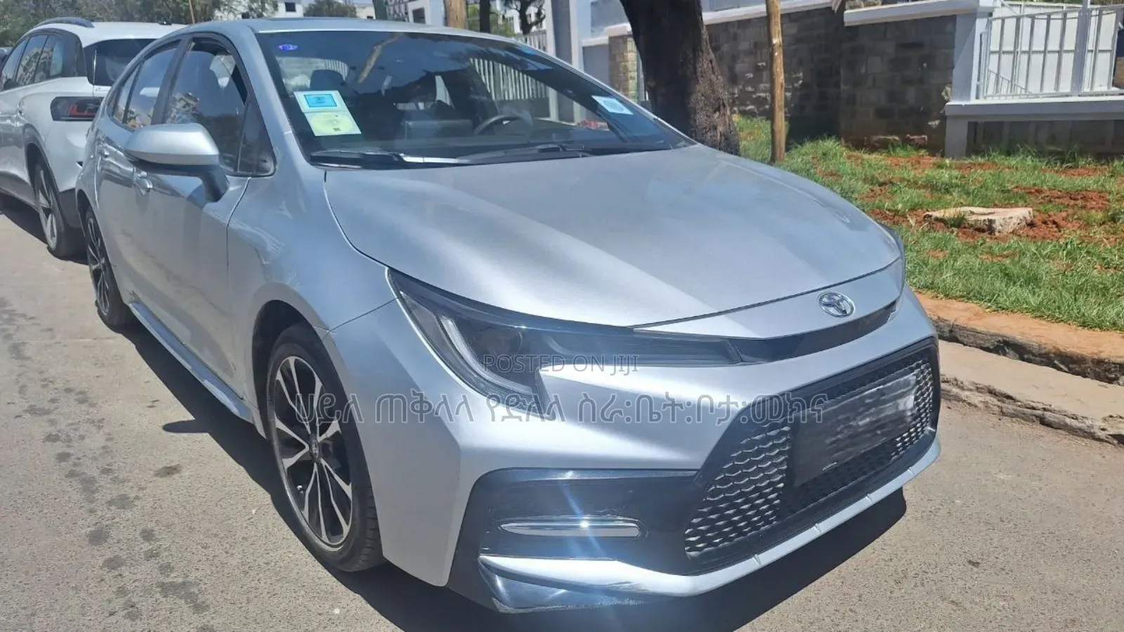 Toyota Corolla 2023 Teal