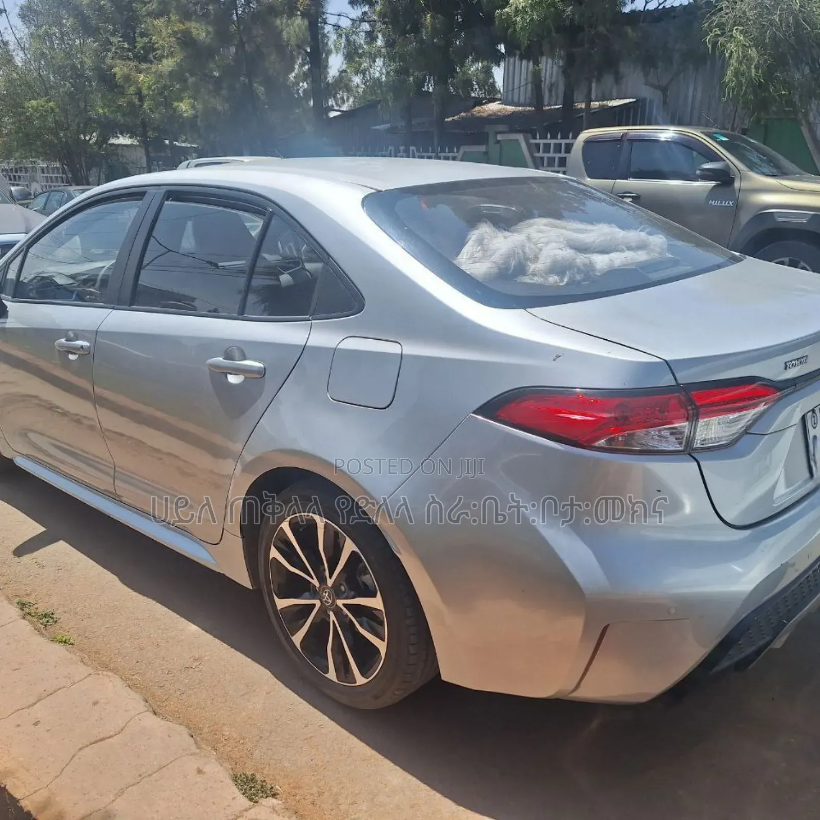 Toyota Corolla 2023 Teal