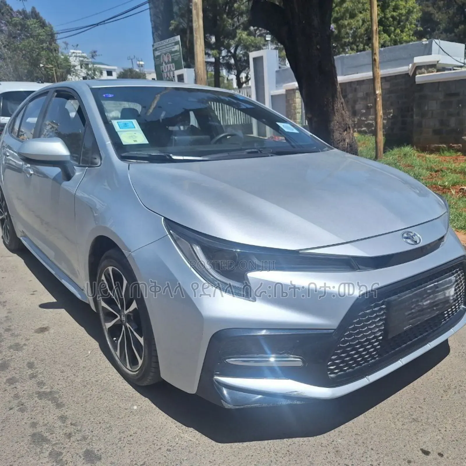 Toyota Corolla 2023 Teal
