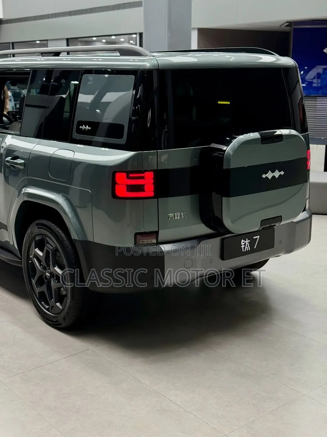 New BYD Leopard 7 2025 Green