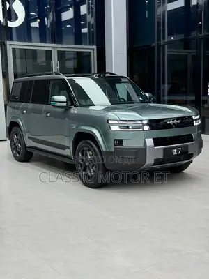 New BYD Leopard 7 2025 Green