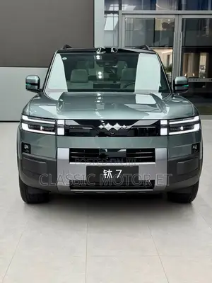 New BYD Leopard 7 2025 Green