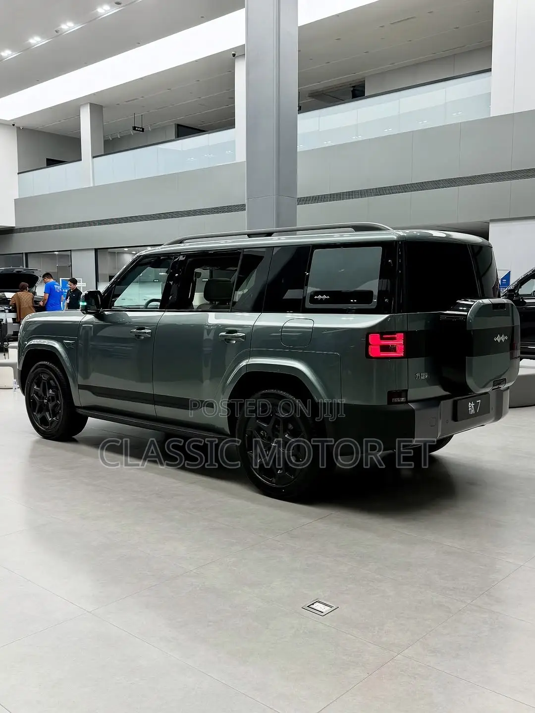 New BYD Leopard 7 2025 Green