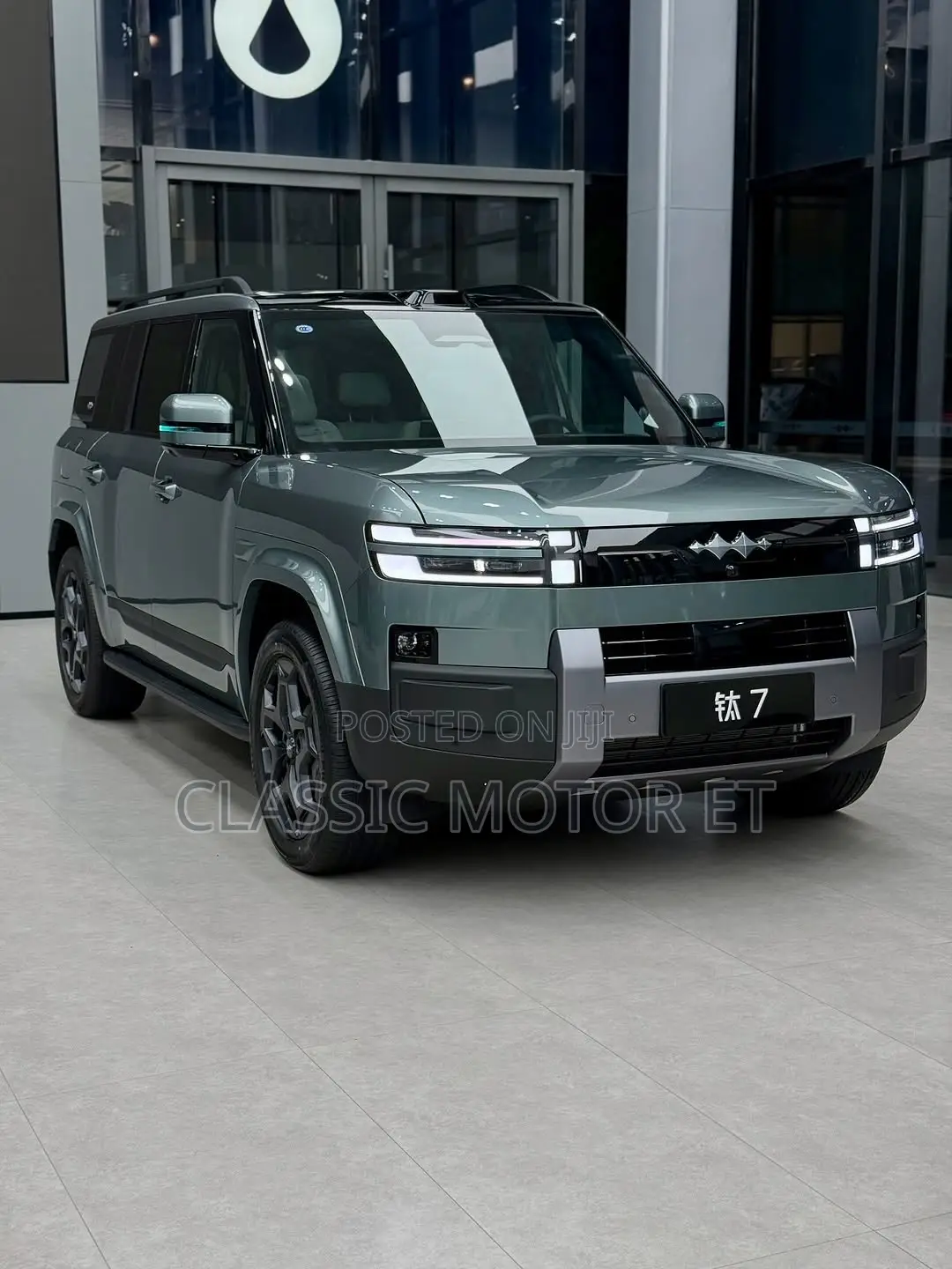 New BYD Leopard 7 2025 Green