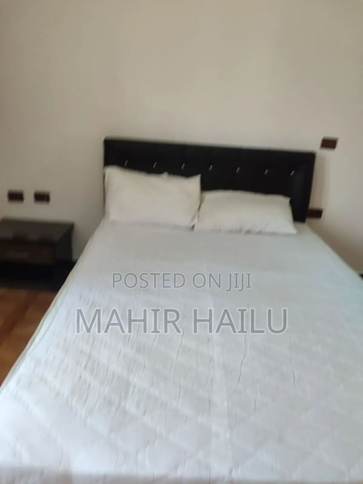 Furnished 1bdrm Apartment in Real, Bole for rent