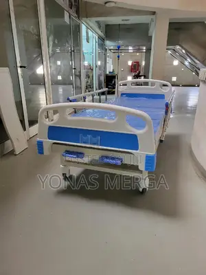 Hospital Bed//Patient Bed衍曾medical Bed – 2 Cranks (Thunder B01)