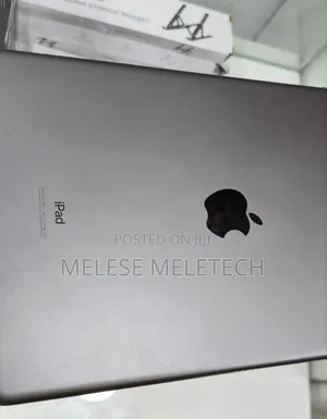 New Apple iPad Wi-Fi +3G 256 GB Gray