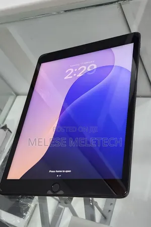 New Apple iPad Wi-Fi +3G 256 GB Gray