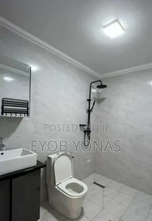 Furnished 2bdrm Apartment in Hořizon Real Estate, Lideta for sale