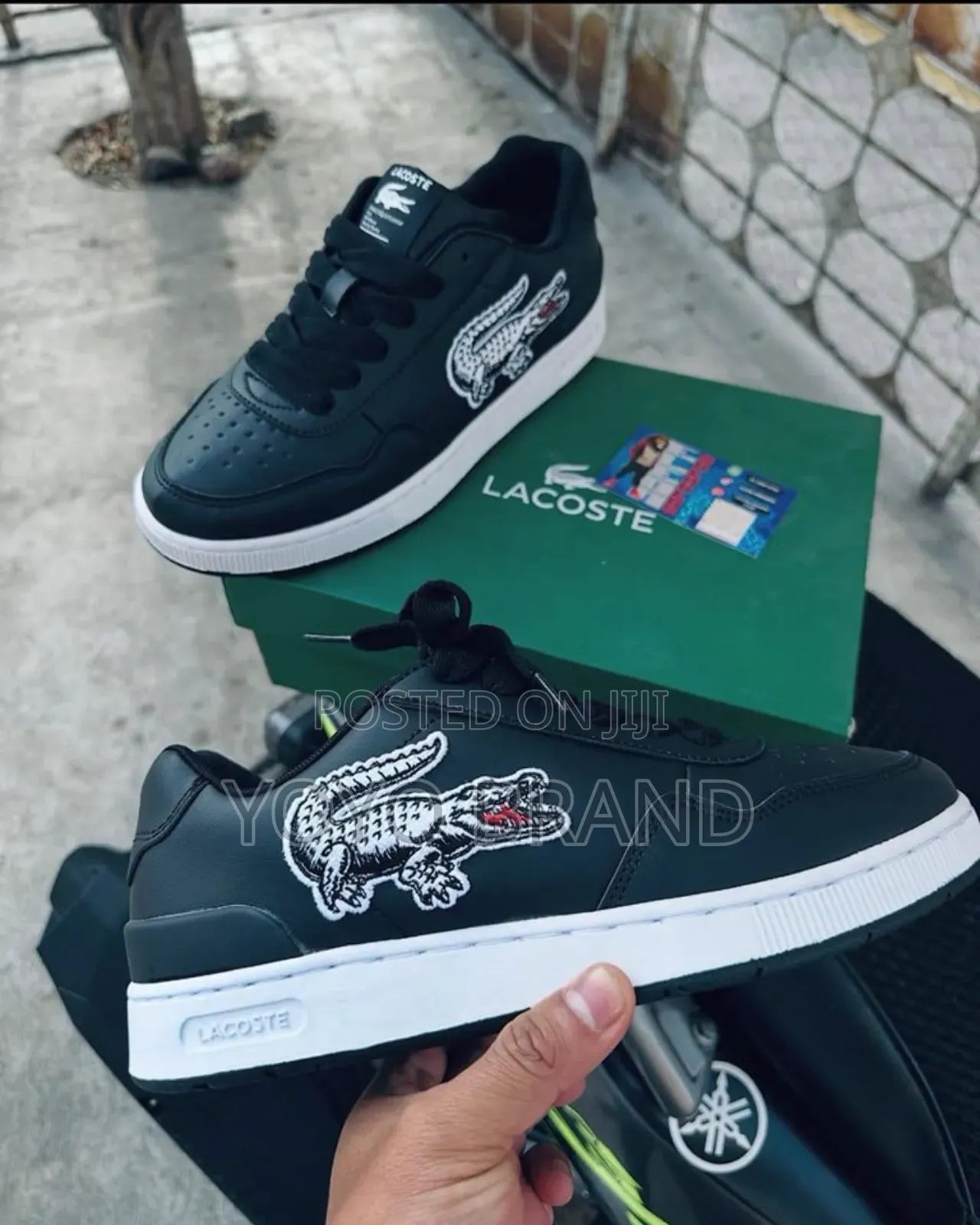 New Arrival Lacoste Crocodi Black Lather Shoes