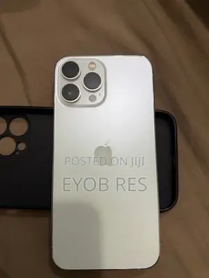 Apple iPhone 13 Pro Max 256 GB Silver