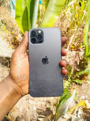 Apple iPhone 12 Pro 128 GB Black