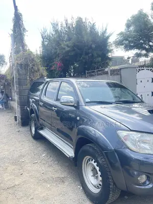 Toyota Hilux 2010 Gray