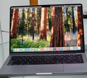 New Laptop Apple MacBook Pro M1 36GB Apple M1 Pro SSD 512GB