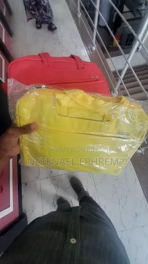 Asus Orgina Laptop Bag