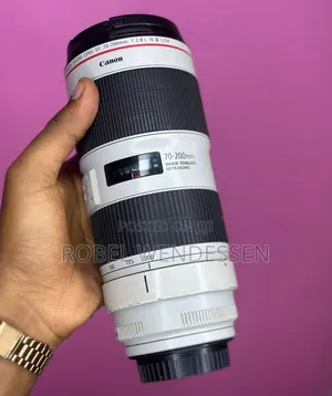 Canon 70-200mm F/2.8 M 3 Zebra Lens
