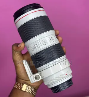 Canon 70-200mm F/2.8 M 3 Zebra Lens