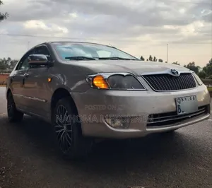 Toyota Corolla 2007 Gold