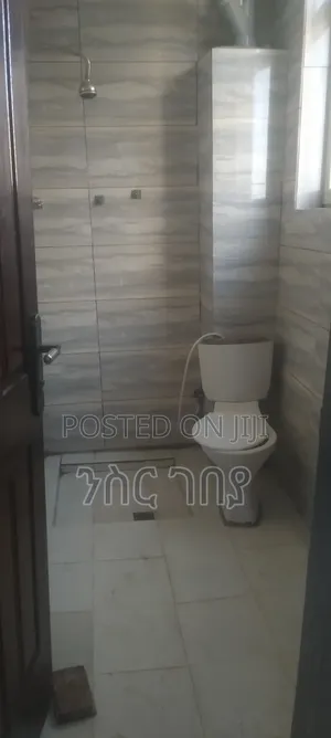 Furnished 2bdrm Condo in Aya 49, 40/60, Yeka for rent