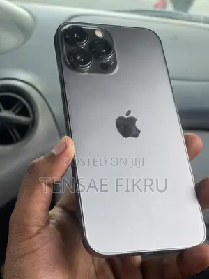 Apple iPhone 13 Pro Max 256 GB Black