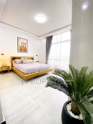 Furnished 3bdrm Apartment in Kirkos for rent