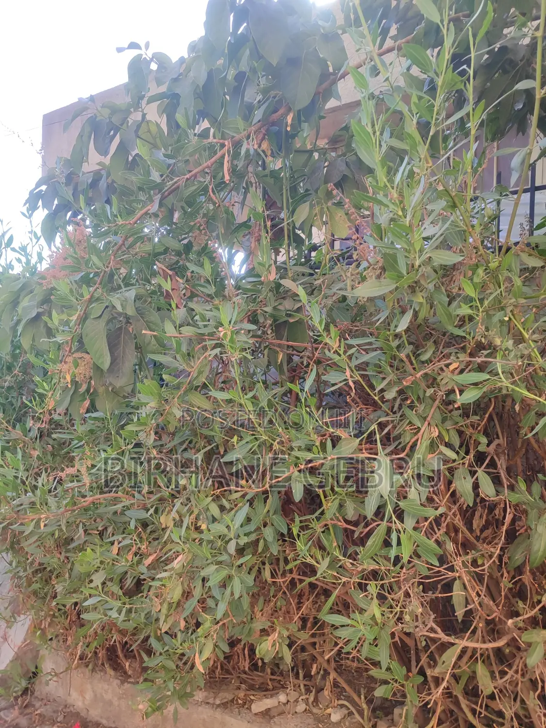 4bdrm Villa in Villa, Bole for sale