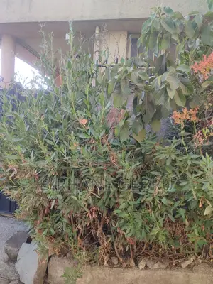 4bdrm Villa in Villa, Bole for sale