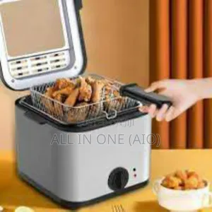 Electric Fryer