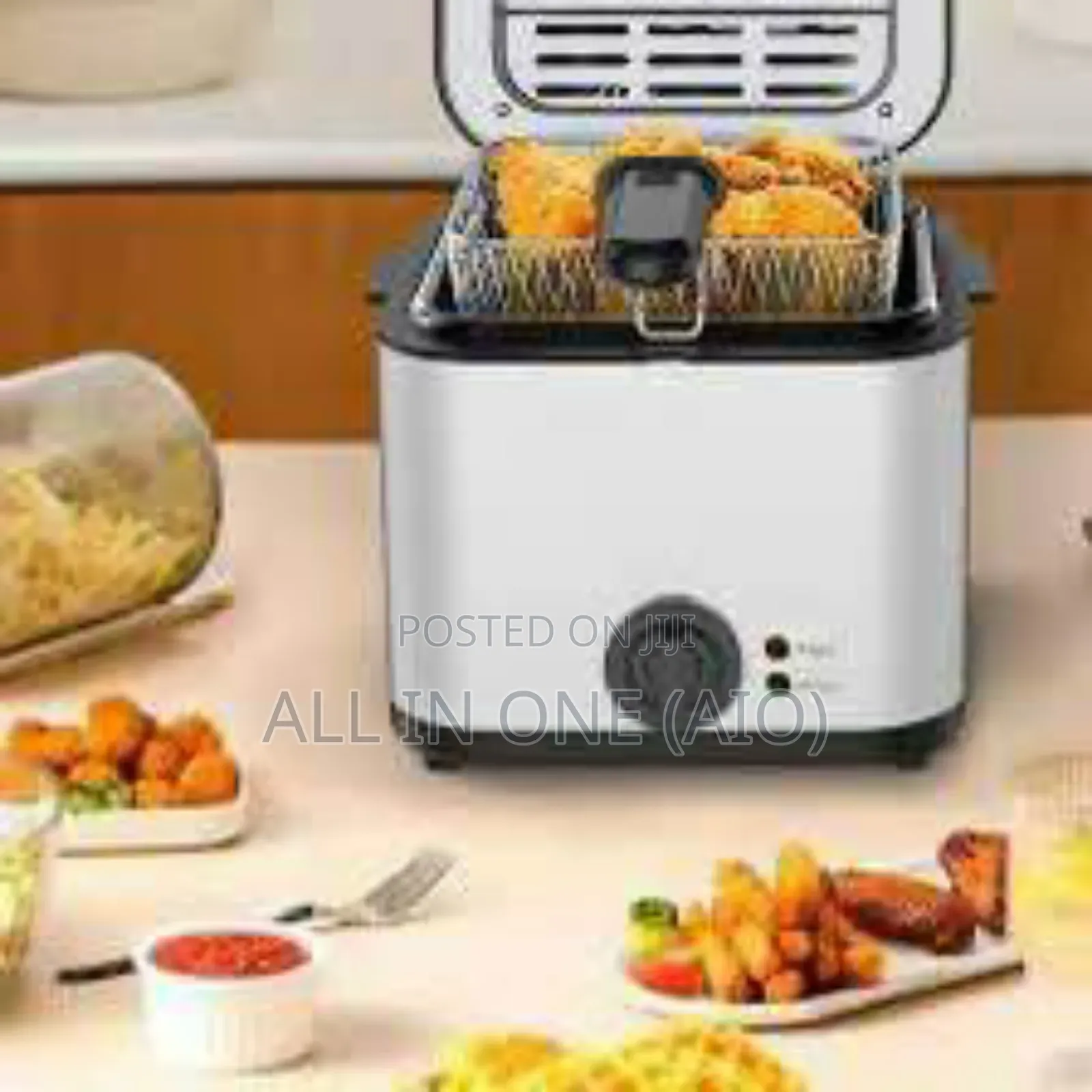 Electric Fryer
