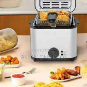 Electric Fryer