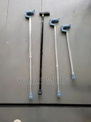 Walking Stick犬占stander Wonder Cane