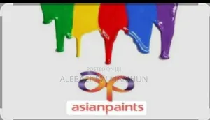 የካዲስኮ ቀለሞች ( Kadisco Paint Products )