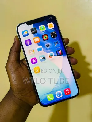 Apple iPhone 12 Pro Max 256 GB White