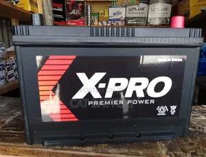 All X Pro የመኪና ባትሪ