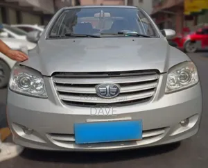 Faw Vita 2013 Silver