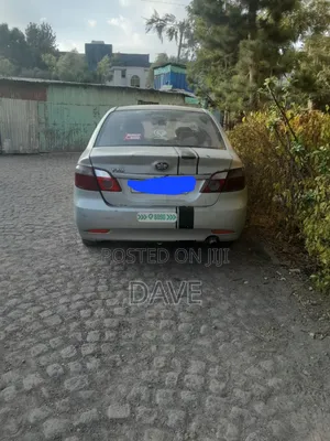 Faw Vita 2013 Silver