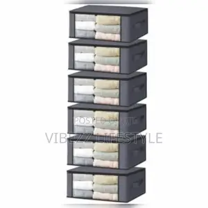Foldable Clothes Organizer Storage Bag