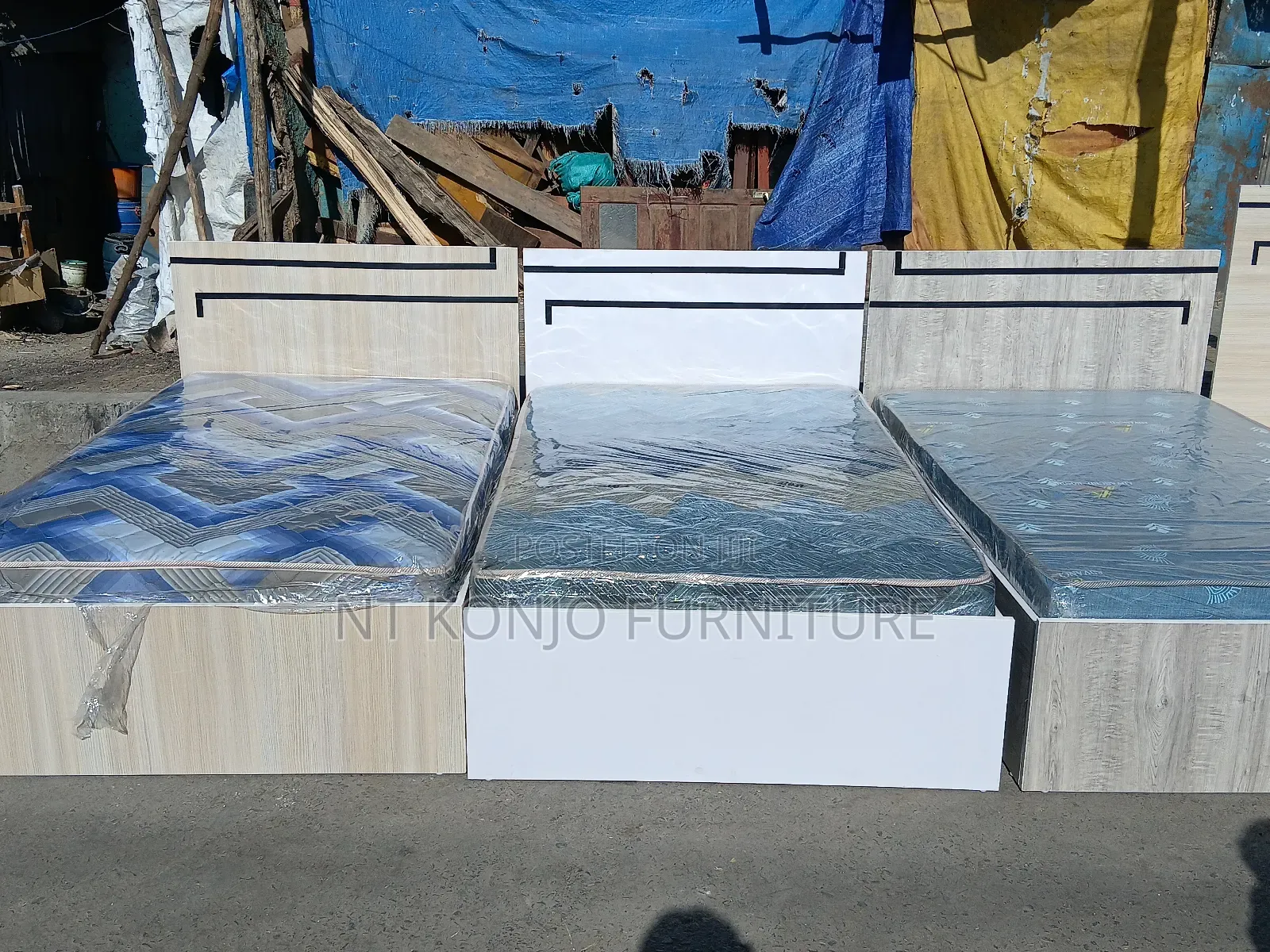 1.20 Cm Lamented Alga + Frash