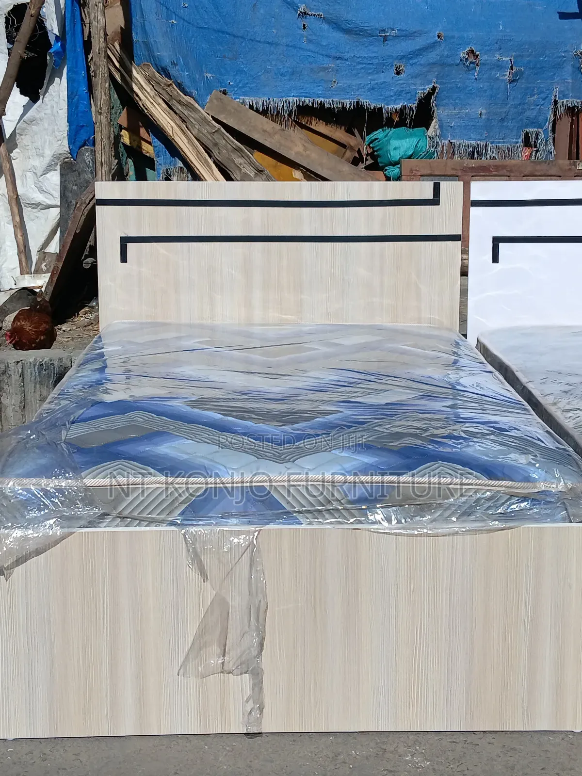 1.20 Cm Lamented Alga + Frash