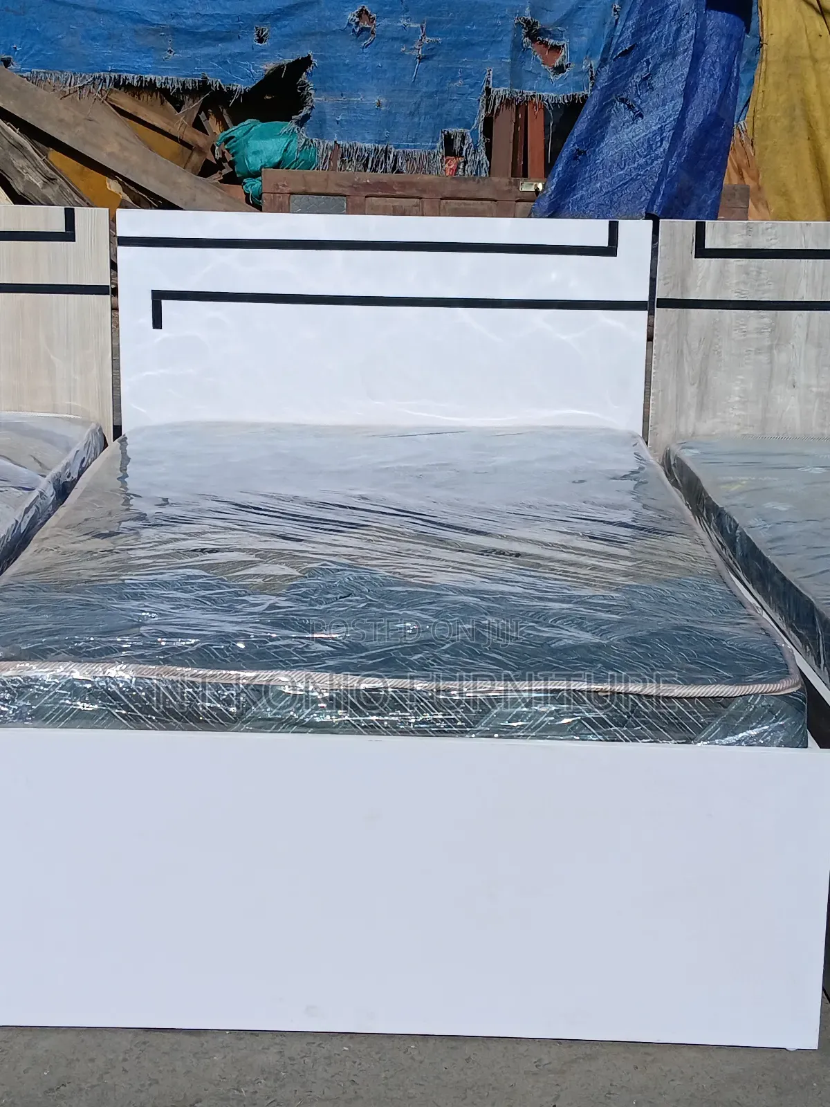 1.20 Cm Lamented Alga + Frash