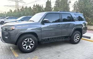 Toyota 4-Runner 2024 Gray