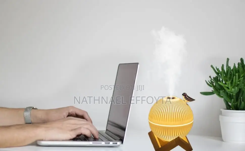 Lark Air Humidifier With Led Light