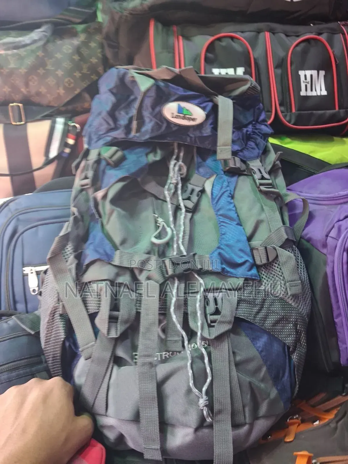 Hiking Bag
