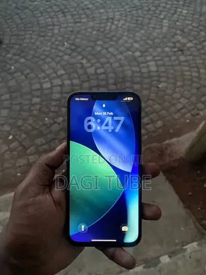 Apple iPhone 13 Pro Max 256 GB Gray