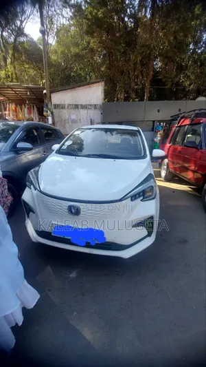 Changan BenBen 2023 White