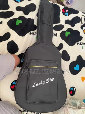 Siltron Semi Acoustic Guitar