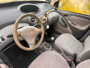 Toyota Platz 2001 Silver