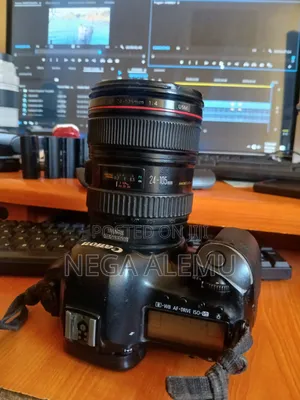 Canon 5d Mark 24_105 Lens