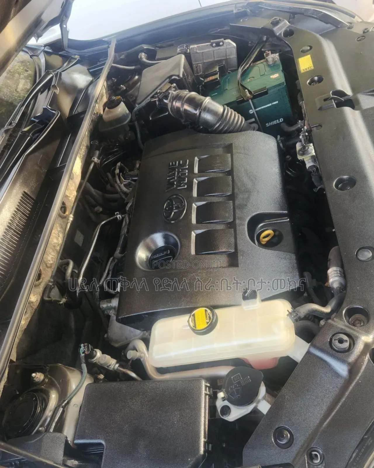 Toyota RAV4 2011 Teal